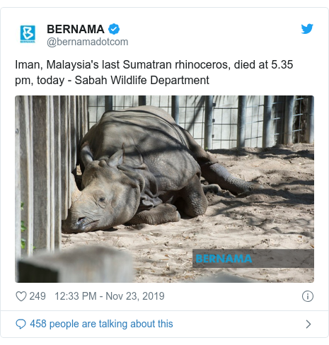 Twitter post by @bernamadotcom: Iman, Malaysia's last Sumatran rhinoceros, died at 5.35 pm, today - Sabah Wildlife Department 