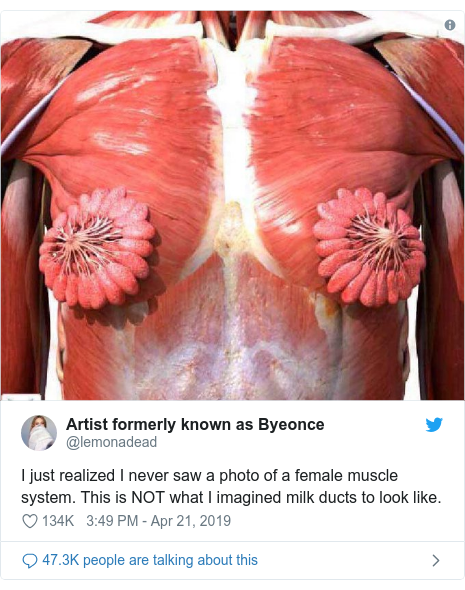 Twitter post by @lemonadead: I just realized I never saw a photo of a female muscle system. This is NOT what I imagined milk ducts to look like. 