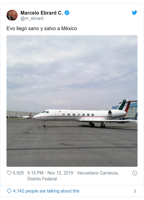 Twitter post by @m_ebrard: Evo llegó sano y salvo a México 