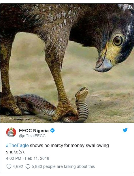world-africa-43030827