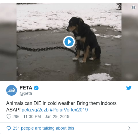 world us canada 47055952 - DEADLY Polar vortex brings deadly cold snap to US states