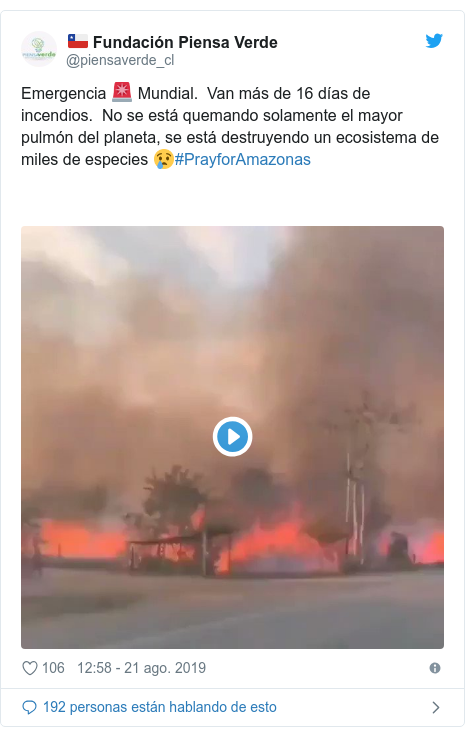 Publicación de Twitter por @piensaverde_cl: Emergencia 🚨 Mundial.  Van más de 16 días de incendios.  No se está quemando solamente el mayor pulmón del planeta, se está destruyendo un ecosistema de miles de especies 😢#PrayforAmazonas 