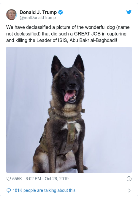 Ujumbe wa Twitter wa @realDonaldTrump: We have declassified a picture of the wonderful dog (name not declassified) that did such a GREAT JOB in capturing and killing the Leader of ISIS, Abu Bakr al-Baghdadi! 
