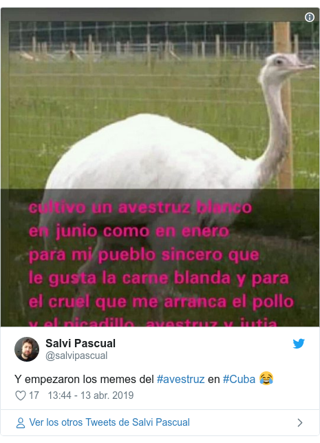 Publicación de Twitter por @salvipascual: Y empezaron los memes del #avestruz en #Cuba 😂 