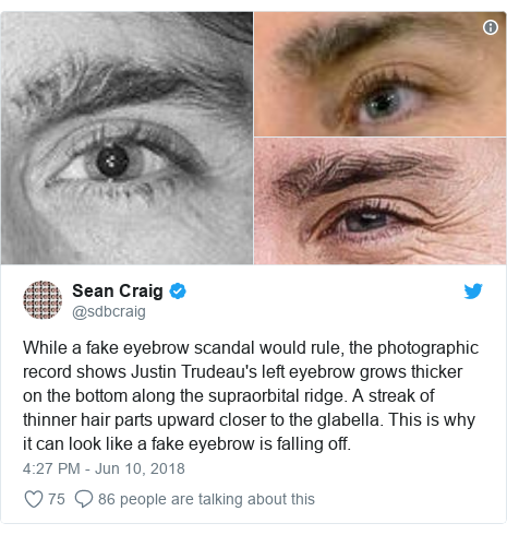 Hasil gambar untuk Does Justin Trudeau wear fake eyebrows?Â 