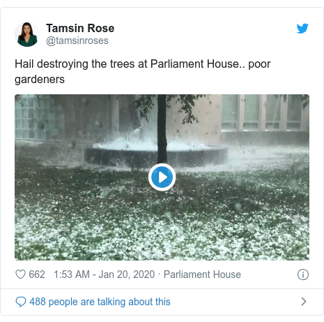 Twitter post by @tamsinroses: Hail destroying the trees at Parliament House.. poor gardeners 
