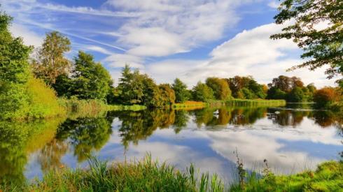 Trees reflected in water in the village of Wimpole in Cambridgeshire