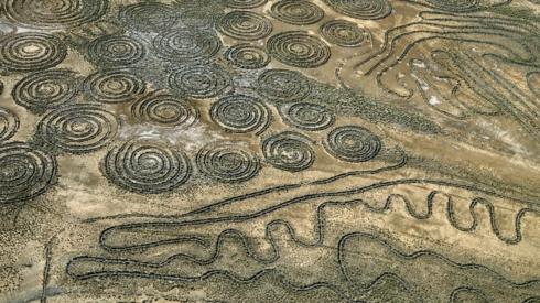 Circles and lines seen on the ground from above