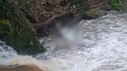 A blurred image of the dead horse in the River Stour