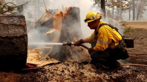 A firefighter extinguishes a fire in the base of a tree that was cut down while fighting the Dixie Fire