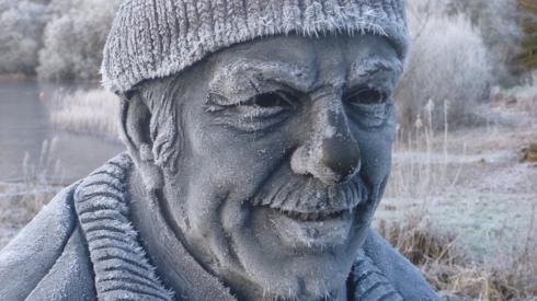 Frozen face