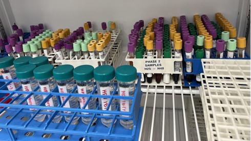 Menstrual blood samples