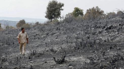 A man looks at burned farmland near Tartous, Syria (11 October 2020)3