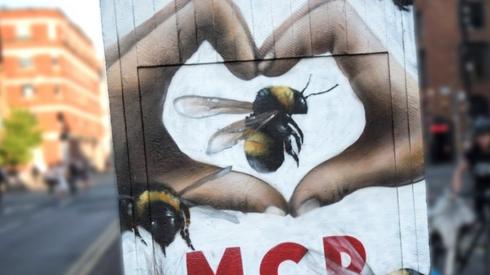 A street-art mural, created following the Manchester Arena bombing, featuring bees, which are a symbol of the city's industrial heritage Stevenson Square, Manchester, 25 May 2017.