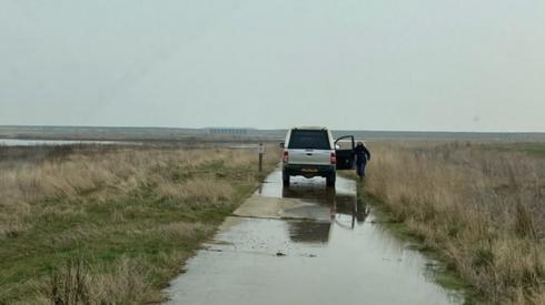 RSPB Wallasea landscape