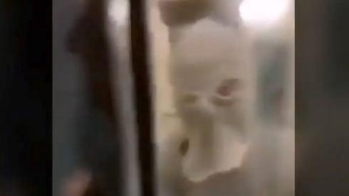 Prison video