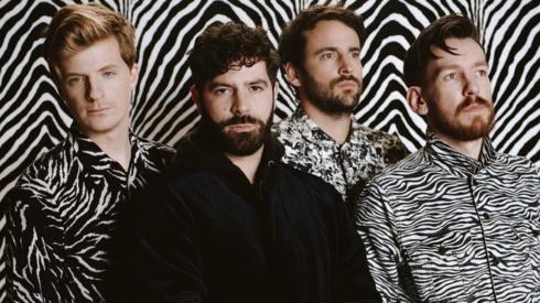 Foals