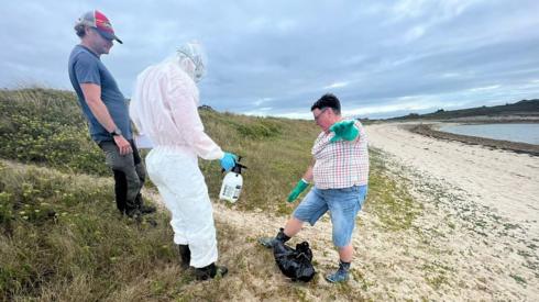 Volunteers collect dead birds
