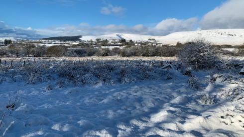 Snow on Preseli hills