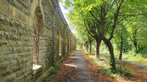 Mangotsfield Railway Station path with trees lining the route