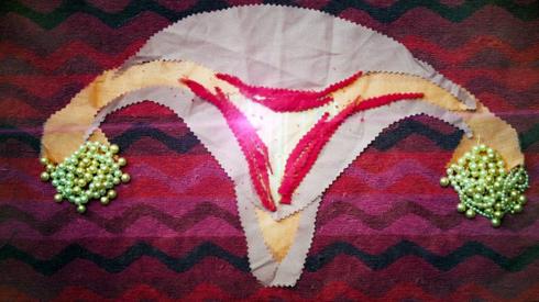 A woman's reproductive system