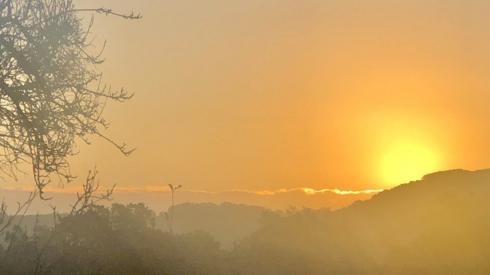 Misty sunrise over landscape