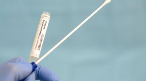 Cotton swab and test tube for coronavirus test