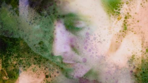Image from Unseen by Nicola Muirhead