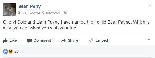 Sean Perry on Facebook: "Cheryl Cole and Liam Payne have named their child Bear Payne. Which is what you get when you stub your toe."