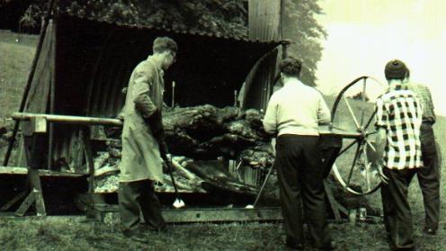 photo of the 800lbs ox roast from the bbq in 1958