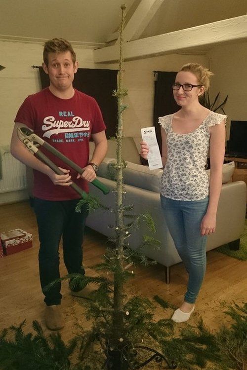 Christmas tree aphids invade Derby couple's home BBC News