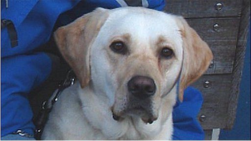 Wag (Pic: The Guide Dogs for the Blind Association)