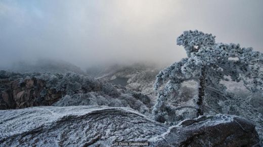 Huangshan National Park