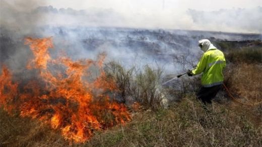 Flaming kites sent from Gaza during the protests have burnt 2,250 acres of land in Israel