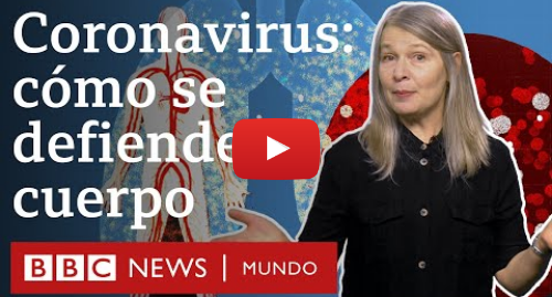 Publicación de Youtube por BBC News Mundo: Cómo funciona el sistema inmunitario y qué hace cuando entra en contacto con el coronavirus