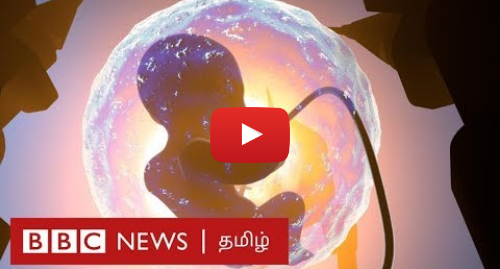 யூடியூப் இவரது பதிவு BBC News Tamil: Artificial Womb  குறை மாதத்தில் பிறக்கும் குழந்தைகளுக்கான செயற்கைமுறை கருப்பை