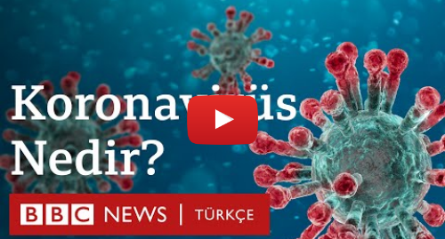 BBC News Türkçe tarafından yapılan Youtube paylaşımı: Koronavirüs nedir, nasıl korunulur?
