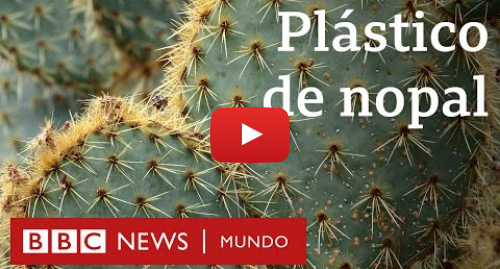 Publicación de Youtube por BBC News Mundo: La mexicana que hace plástico biodegradable con hojas de nopal