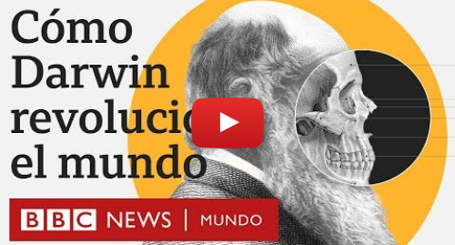Publicación de Youtube por BBC News Mundo: Qué es la teoría de la evolución de Darwin y qué inspiró sus revolucionarias ideas | BBC Mundo