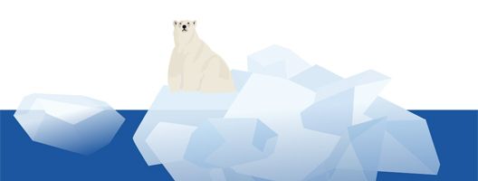 BBC Planet polar bear