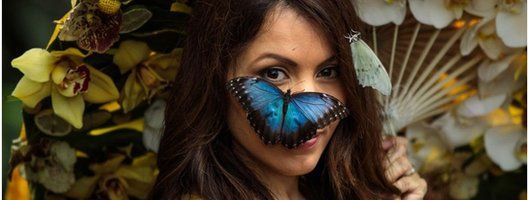 A Blue Morpho butterfly sits on the face of model Jessie Baker as she poses during a photocall at RHS Garden Wisley