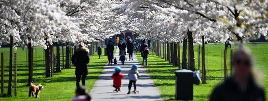 Families walk under cherry blossom trees in Battersea Park, as the number of coronavirus disease (COVID-19) cases grow around the world, in London, Britain March 22, 2020