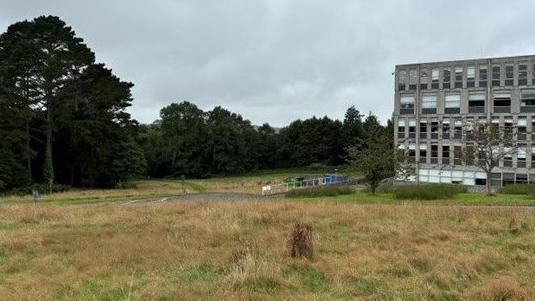 Looking towards the community orchard at the rear of New County Hall / Lys Kernow in Truro