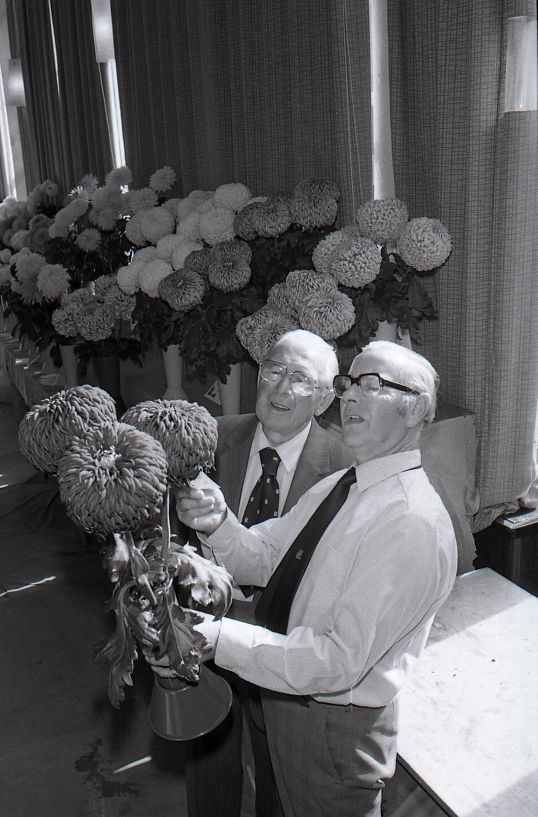 The miners' flower show at Cross Keys in 1983