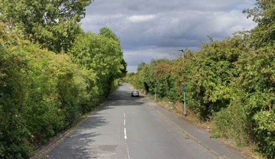 View down a road with bushes either side