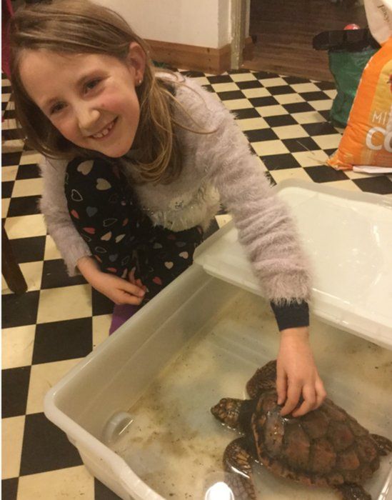 Nine-year-old Síomha helped to bath the stricken turtle in seawater