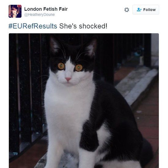 #EURefResults She's shocked