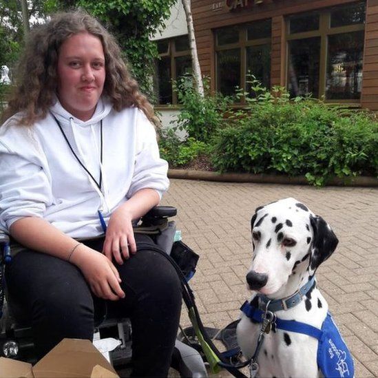 can you take dogs on trains in england