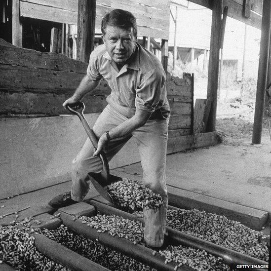 American politician Jimmy Carter looks up while shovelling peanuts on a peanut farm, 1970s.