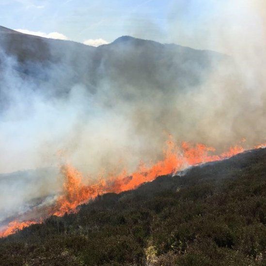 Cumbria crews use hand-held beaters to tackle heather fire - BBC News